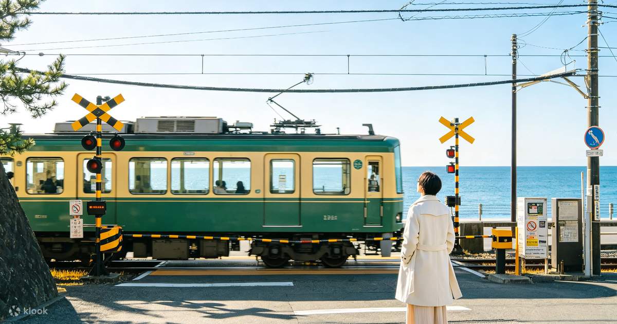 鎌倉 9名限定の夏 鎌倉小旅行】鎌倉高校&鎌倉大仏&江の島（江ノ電